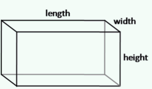 Rectangular Prism Fish Tank